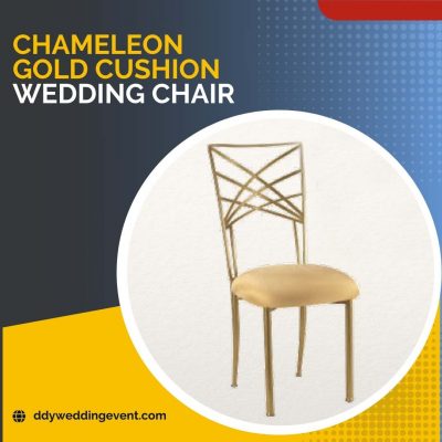 wedding-chair-chameleon-gold-rental-wedding-events-ddy-phuket