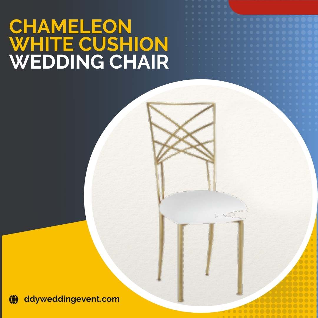 wedding-chair-chameleon-white-rental-wedding-events-ddy-phuket
