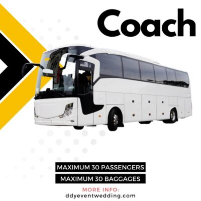 transportation-coach-bus-ddy-phuket